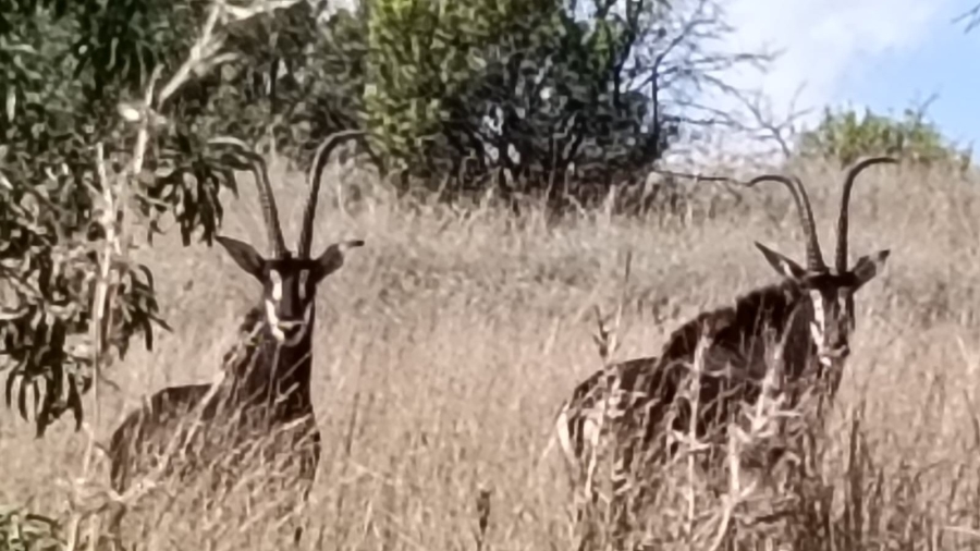 5 Bedroom Property for Sale in Swartruggens North West